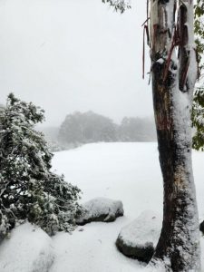 Light dust, but no snow for the weekend