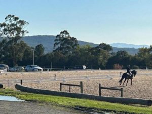 Horse Talk