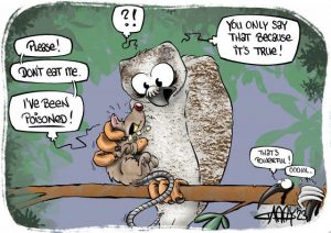 Cartoon of the week
