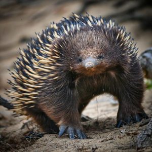 Biodiversity Blitz reaches halfway point