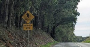 Motorcyclist killed after collision with Launching Place couple in van