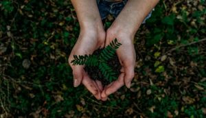 Yarra Ranges Council seeking new members for Sustainable Environment Advisory Committee