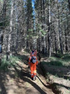 Police, SES relieved to find missing man in Narbethong