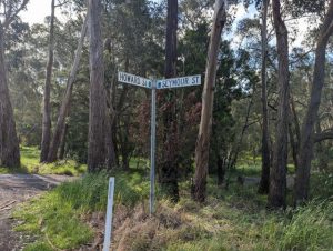 Seville subdivision approved despite community concerns