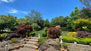 UYVGC Open Weekend set to showcase stunning spring gardens