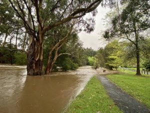 Settlement Road, Yarra Junction floods again