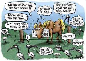 CARTOON: Talk of the Track