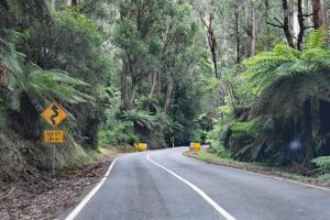 Acheron Way reopened from Warburton to Narbethong