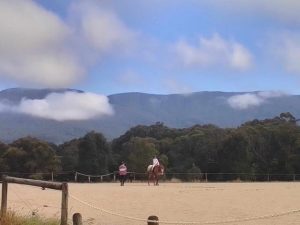 Horse Talk