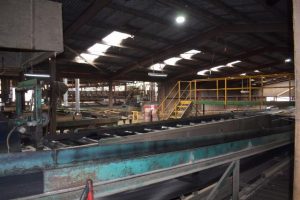 Strategy to support the Upper Yarra’s transition away from native timber harvesting