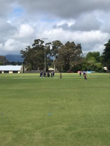 Three Wandin wins