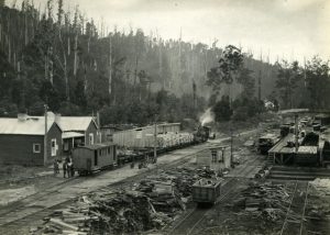 New book captures the history of the Upper Yarra’s railways and timber industry