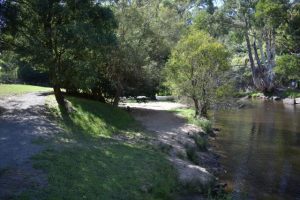 Warburton resident calls on Council to consider a riverfront wheelchair track