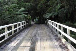Cement Creek Road Bridge set for December reopening