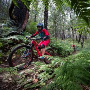 Planning Scheme Amendment for Wwarburton Mountain Bike Destination approved