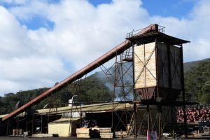 Impact of closure of native timber industry
