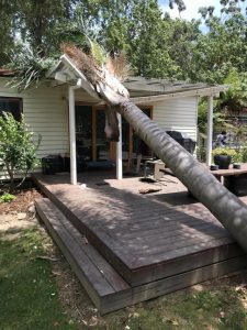 Six buildings struck by storm