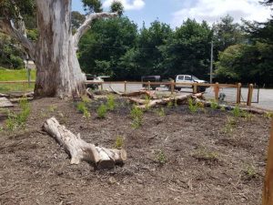 Works completed at Warburton Tree site