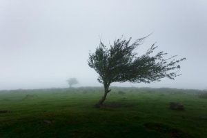 Strong winds set to hit today
