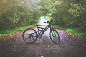 Christmas Gravel Parade ride in Warburton