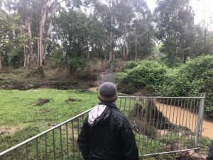 Importance of volunteerism for the local environment
