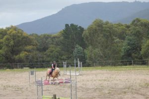 Horse Talk