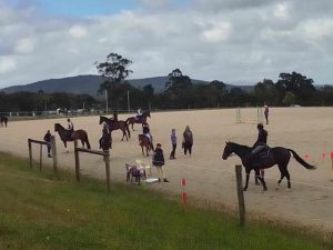 Horse Talk
