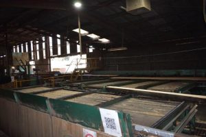 Part One: A history of forestry