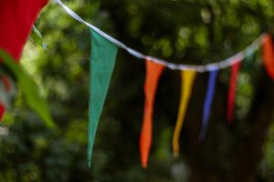 Trash and Treasure at Powelltown