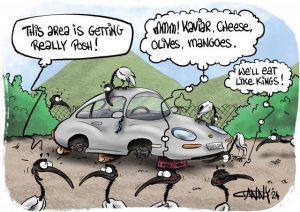 CARTOON: Wheels Gone
