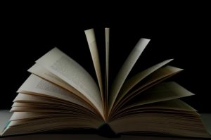 Your Library reader’s choice 2023