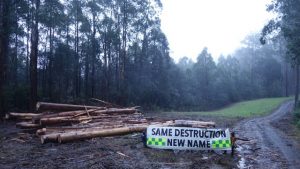 Environmental groups protest Forest Fire Management Victoria works