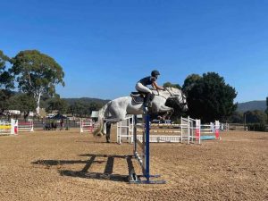 Horse Talk