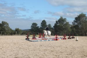 Horse Talk