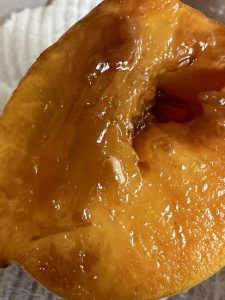 Queensland Fruit Fly recently detected in the Upper Yarra