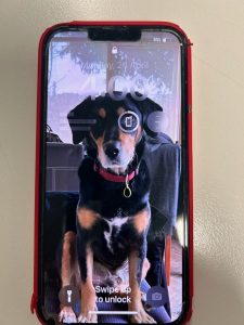 Lost phone handed in to Yarra Junction Police