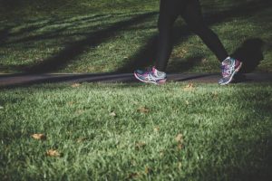 Spotlight walk in Millgrove on Friday 12 April