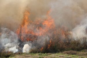 Escaped burn offs a timely reminder for homeowners
