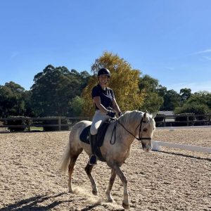 Horse Talk