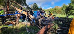 Truck carrying liquid nitrogen flips and hits a tree in Seville East