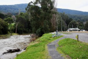 Rollator handed in to Warburton Police