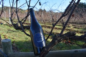 Upper Yarra Secondary College’s very own wine hitting the shelves