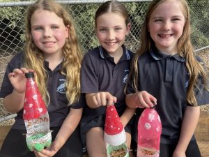 Wandin North Primary School setting sky-high sustainability standards