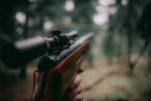Hunting groups united on public land access