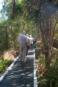 New name for River Road Walking Track to be revealed