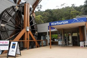 Artrageous exhibition coming to Warburton