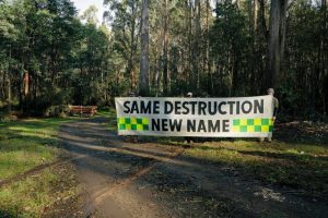 Victorian politicians not aligned on forest future, FFMVic operations