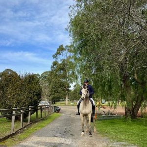 Horse Talk