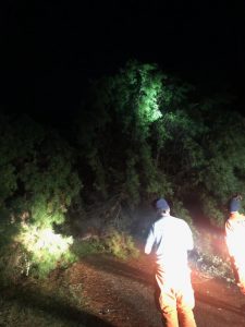 Trees down and roads flooded after heavy rain