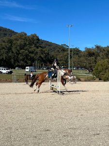 Horse Talk